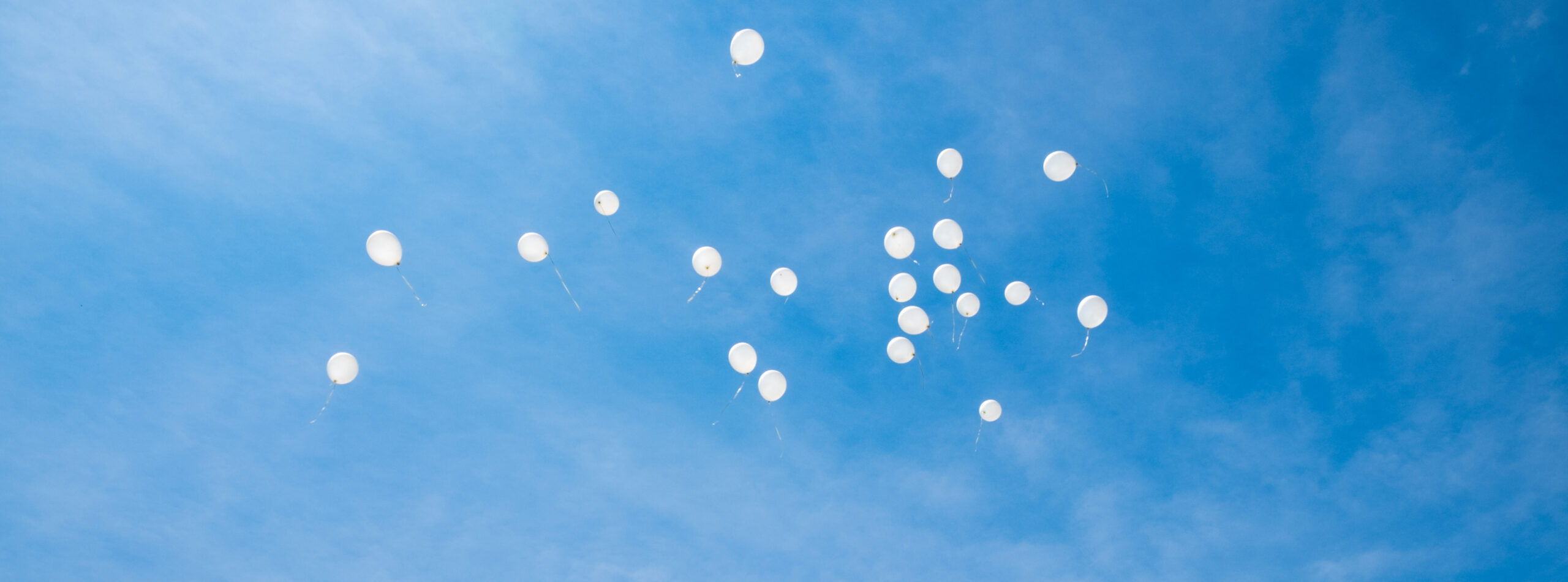 White,Balloons,Flying,Up,In,The,Sky. White,Balloons,Flying,Up,In,The,Sky.